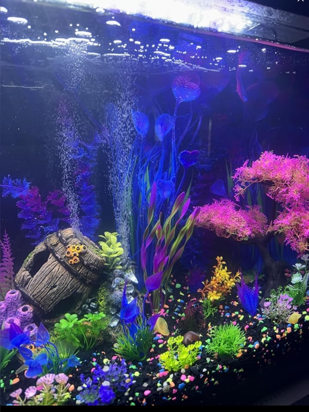 Neon Purple & Blue Aquarium Plant Accent - Picture 2 of 6